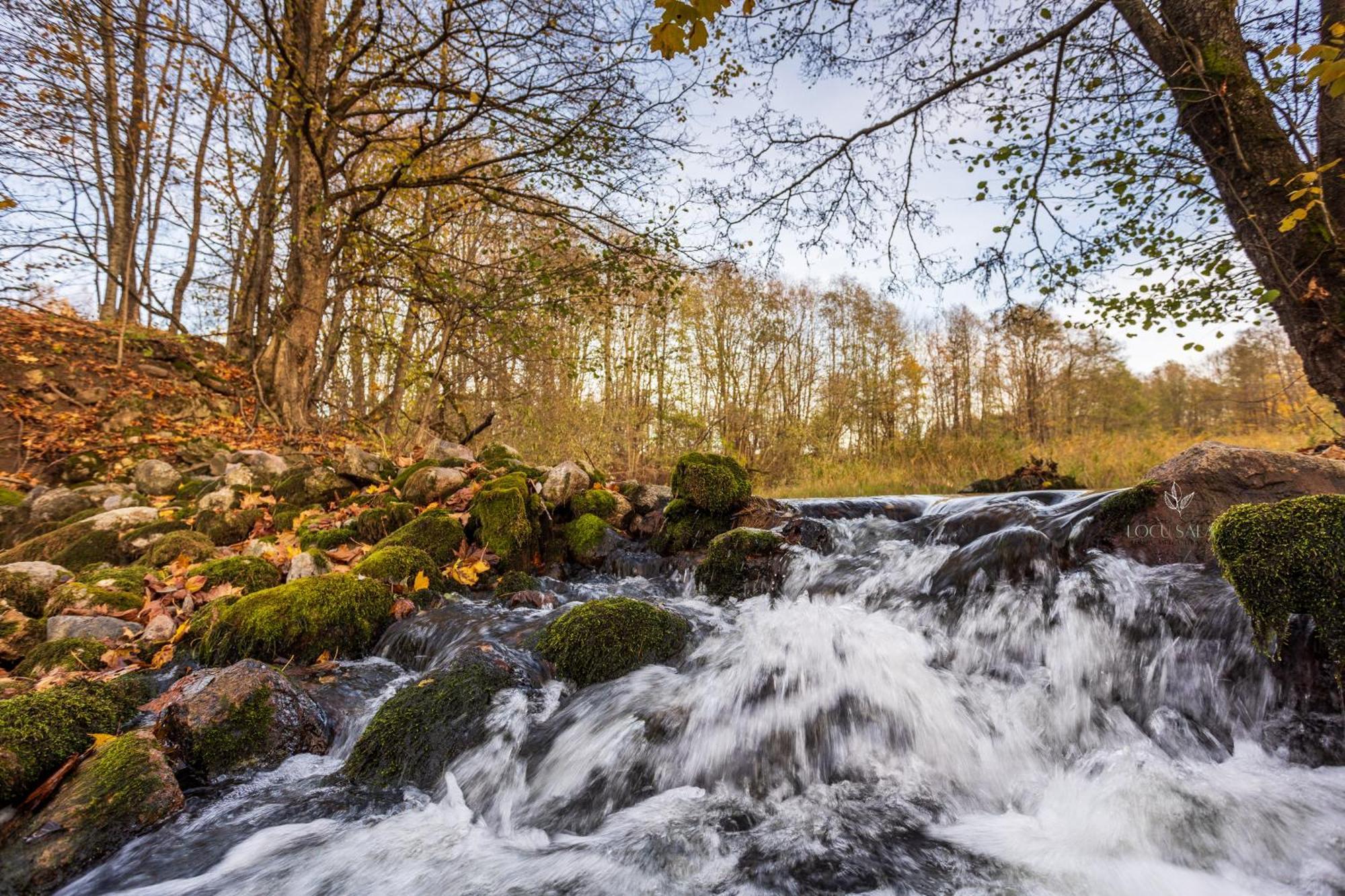 Viesu Seta Locu Sala Krāslava
